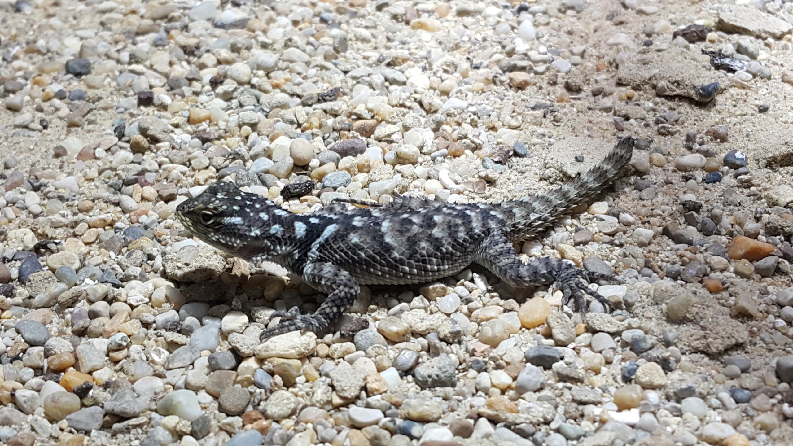 Tiergarten Schönbrunn