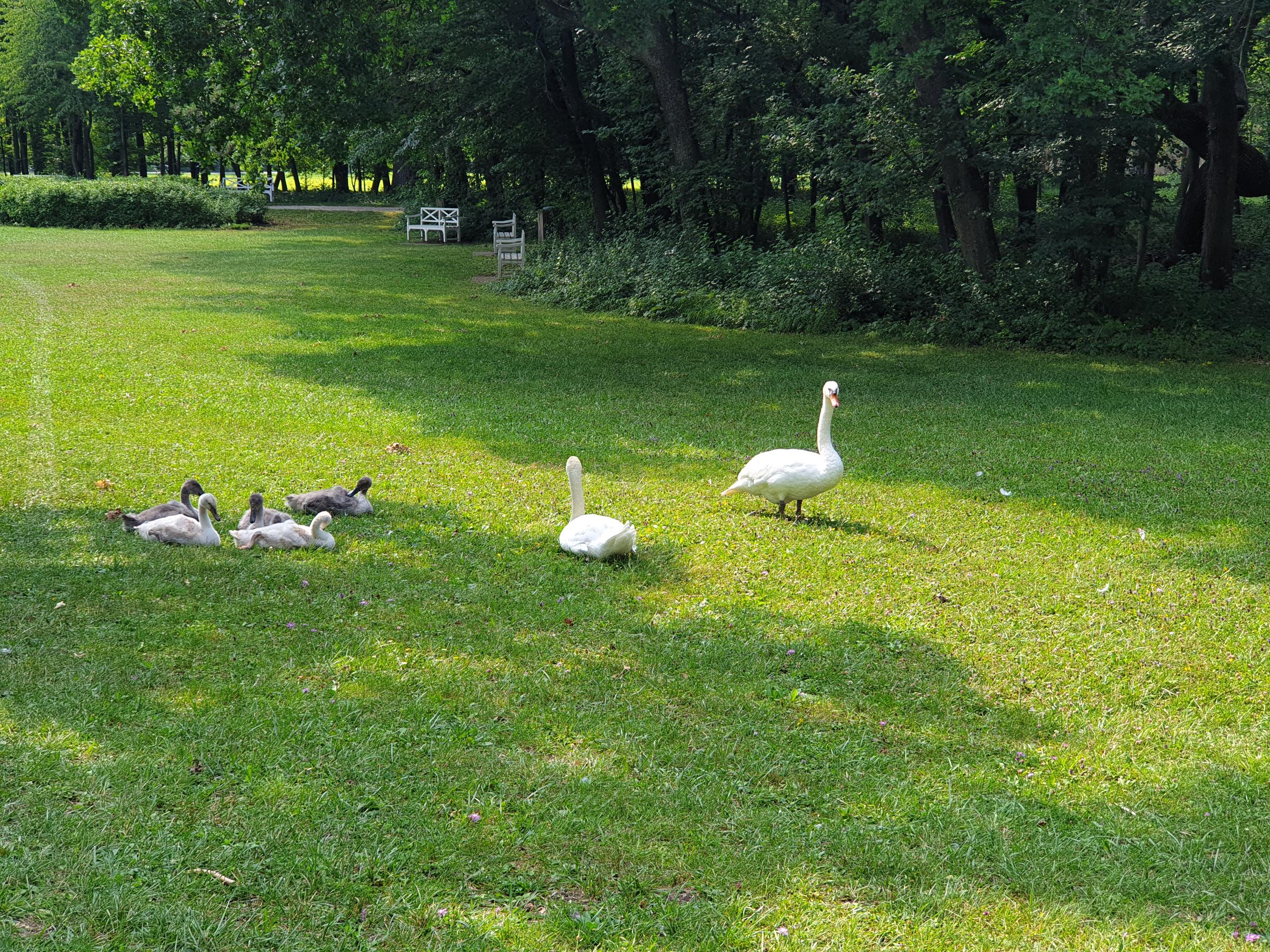 Schlosspark Laxenburg