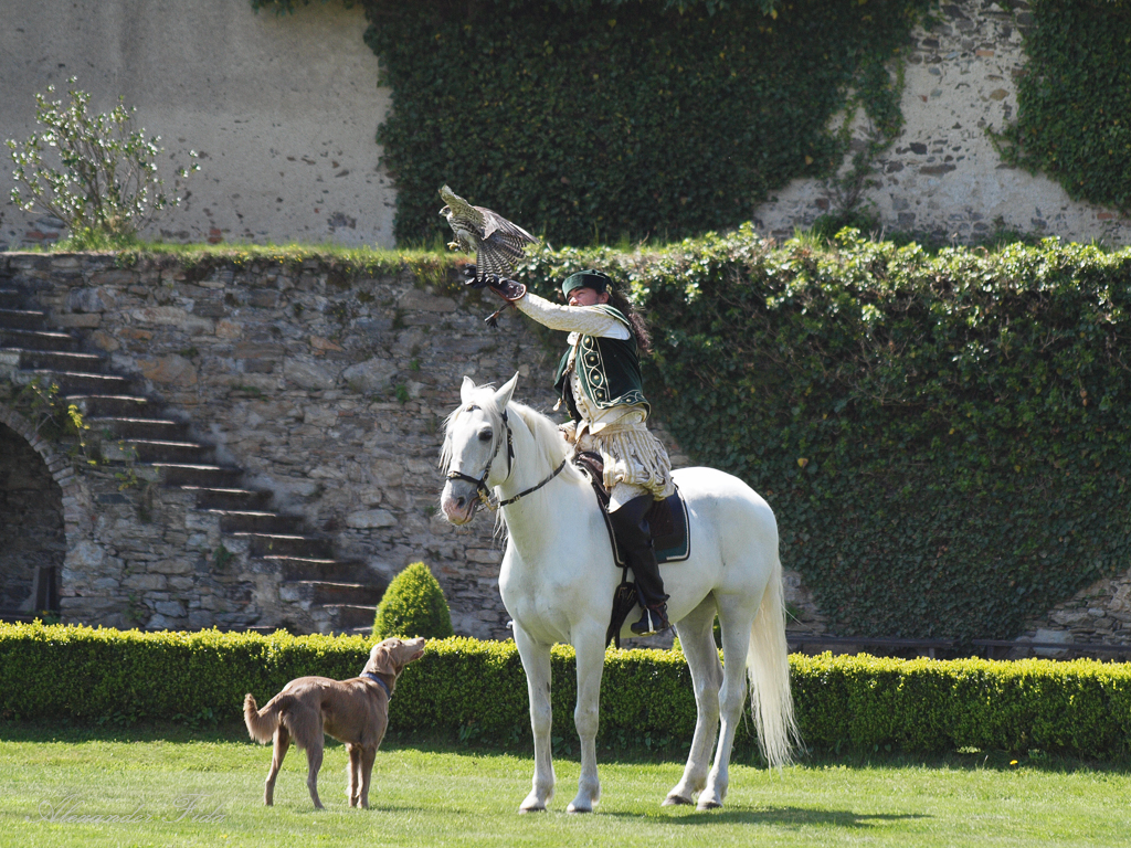 Renaissanceschloss Rosenburg