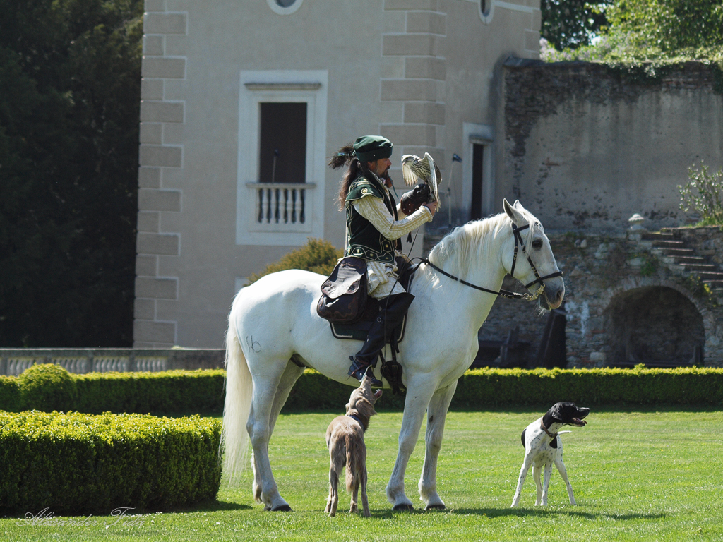 Renaissanceschloss Rosenburg