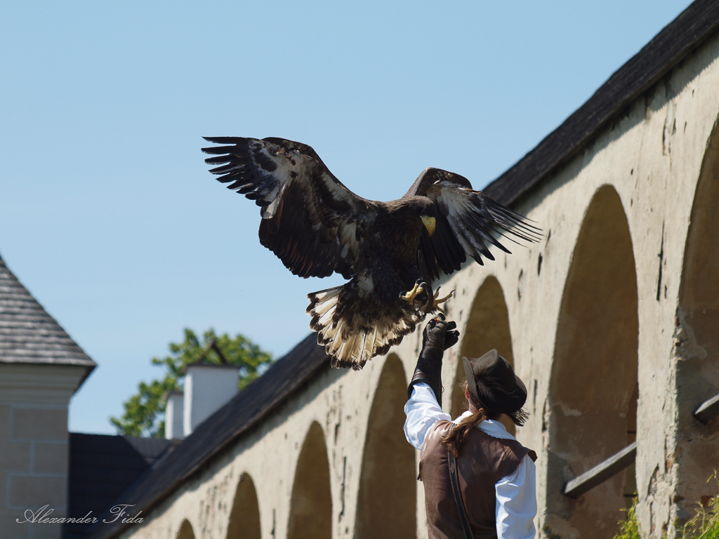Renaissanceschloss Rosenburg