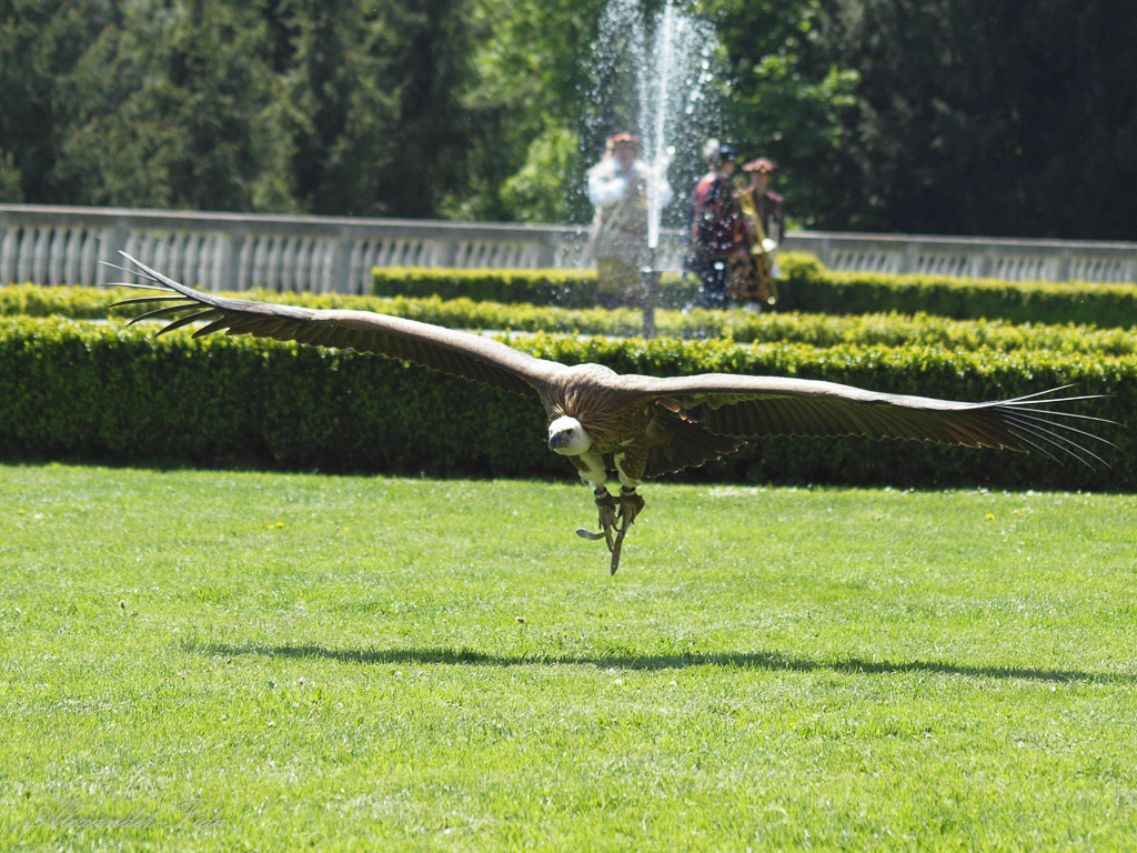 Renaissanceschloss Rosenburg