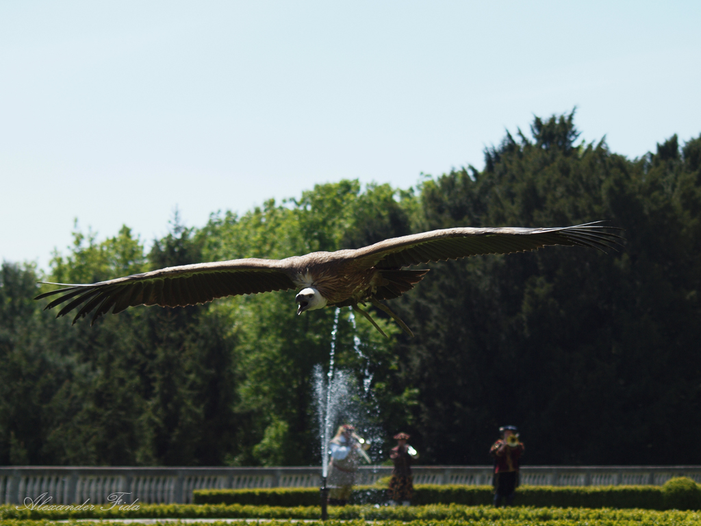 Renaissanceschloss Rosenburg