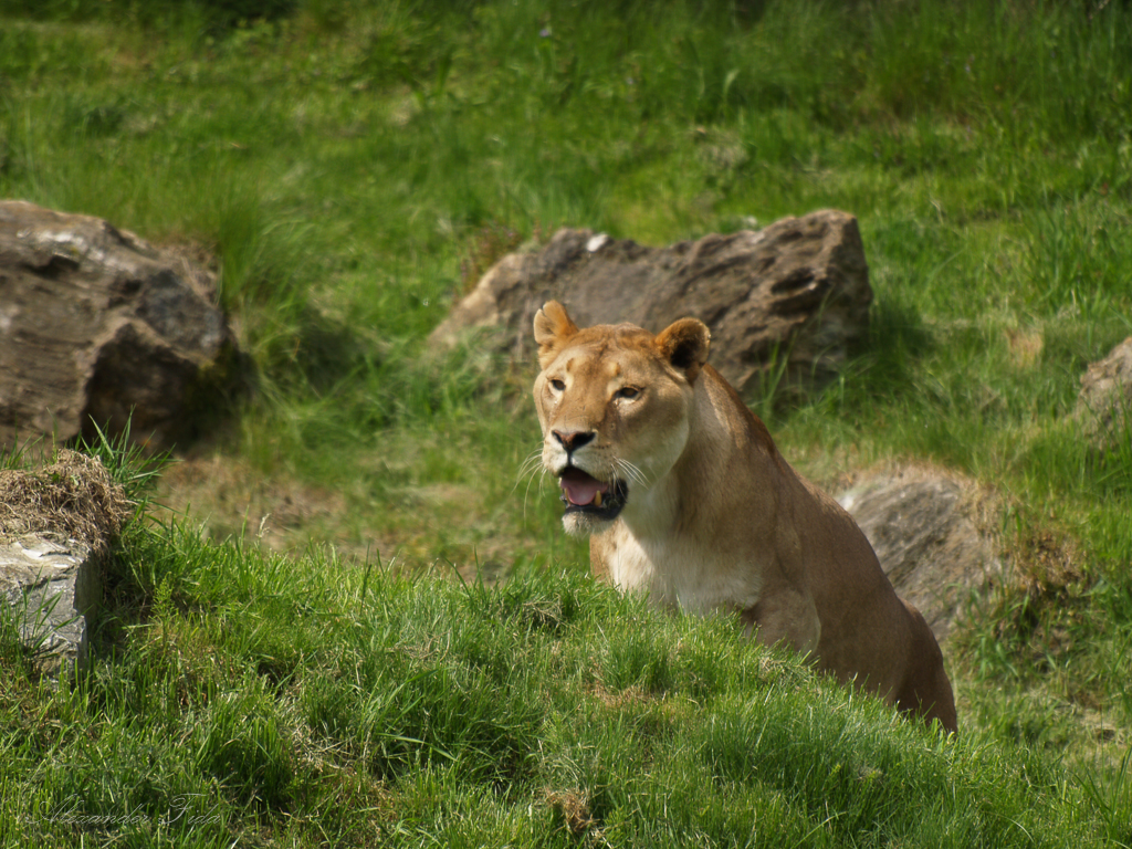 Tierpark Herberstein