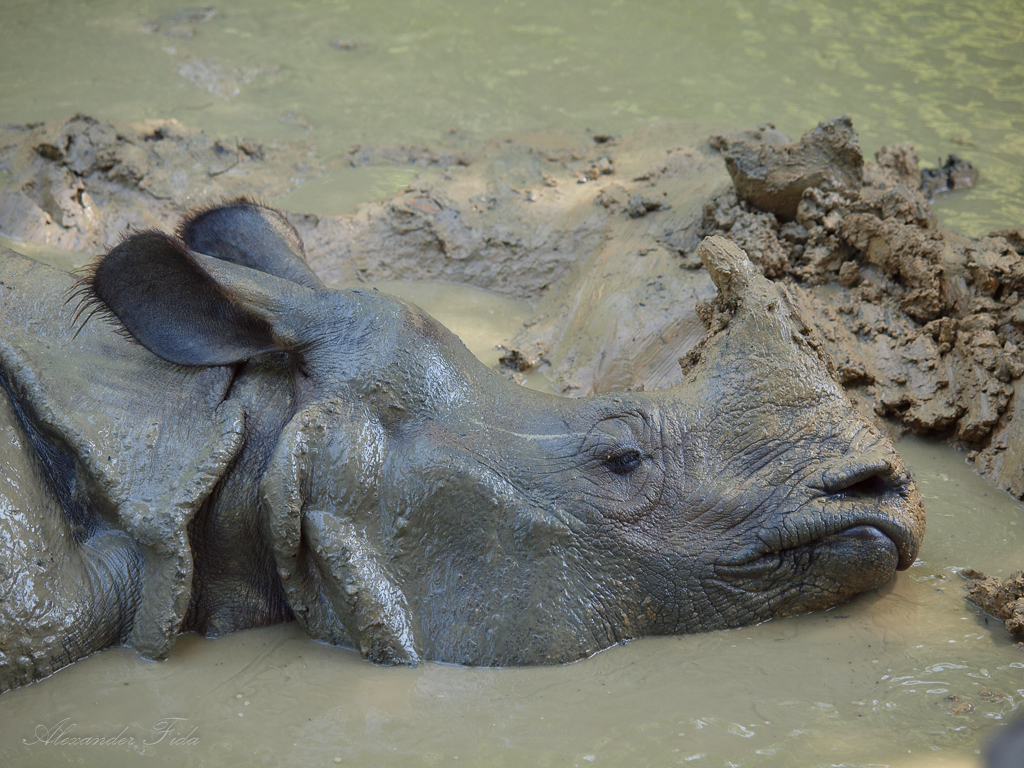 Tiergarten Schönbrunn