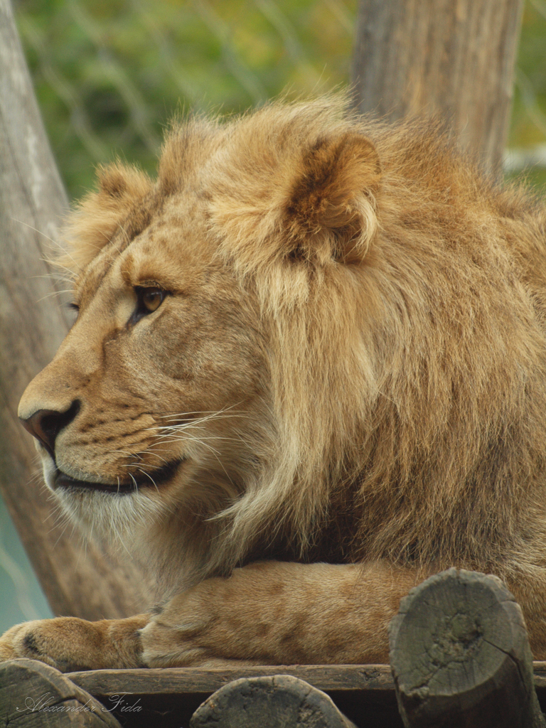 Tiergarten Schönbrunn